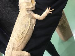 -藦茜花园宠物主题亲子互动体验馆(国顺东路店)