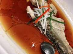 -丹江渔村(望京店)