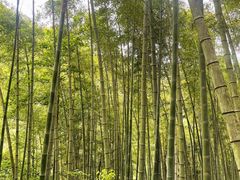 -磐安十八涡风景区