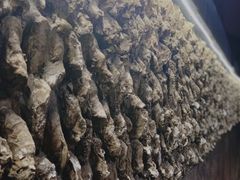 生蚝墙-囧吉香生蚝牛排馆(湖北路店)