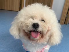-博特宠物医院24h犬猫全科.骨科·异宠