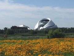 -哈尔滨大剧院