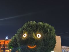 -特克斯八卦城