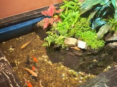 -隐炉和牛烧肉店(群力店)