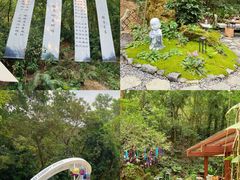 -深圳仙湖植物园