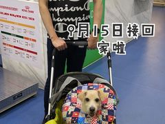 -佩兹宠物医院肿瘤专科·眼科·牙科(黄浦店)