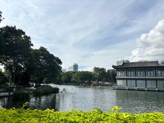 -荔湾湖公园