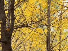 -森林公园(尖草坪区)