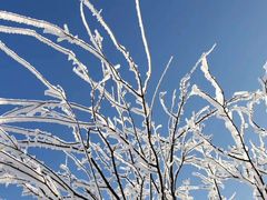 -鳌山滑雪度假区