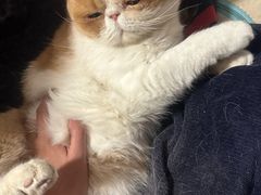 -簋街