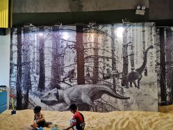 -恐龙探索乐园(磁器口店)