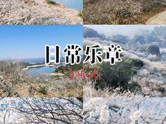 -广州市流溪河国家森林公园