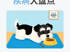 -申普宠物医院·心脏介入·心血管微创(总院)