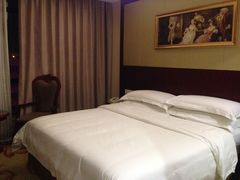 -维也纳国际酒店·上海虹桥火车站国家会展中心店