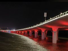-演武大桥观景平台