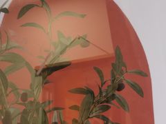 -LuluCake·路鹿蛋糕