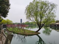 -乌镇西栅景区