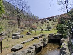 -桃花岭景区