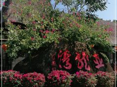 -亚龙湾热带天堂森林公园
