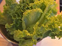 -杨记齐齐哈尔烤肉(总店)