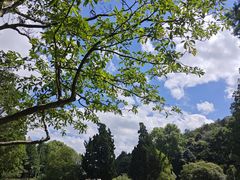 -贵州省植物园
