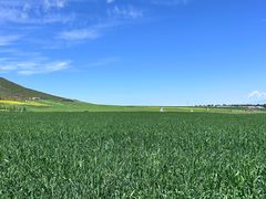 -扁都口生态休闲旅游区