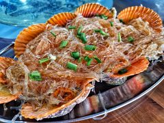 -七鲜渔港美食餐厅(巽寮湾海景店)