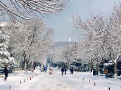 -山东大学(威海校区)