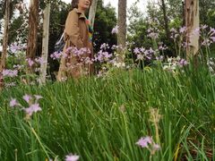 -白鹭湾湿地公园