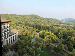 -太湖饭店玉兰厅(自助餐厅)