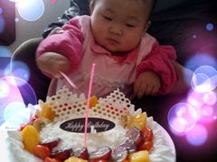 -丽莎蓓甜CAKE生日蛋糕·动物奶油(石家庄店)