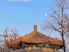 -北京国子监胡同