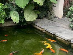 -漫笙舍Manse·咖啡·民宿