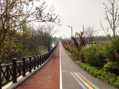 -上海长兴岛郊野公园