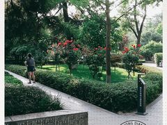 -莲湖公园