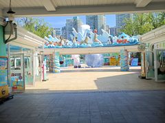 -海合安成都极地海洋公园