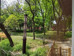 -枫桥景区