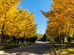 -中家鑫园温泉酒店鑫悦汤泉