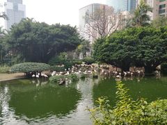 -九龙公园