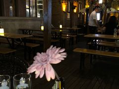 露天位-巴伐利亚啤酒坊(意式风情街店)