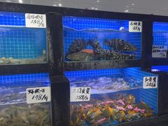-小海丁