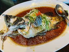 广式蒸青斑鱼-彩丰楼·中餐厅(国家会展中心上海洲际店)