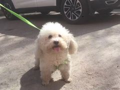-联合动物医院(光谷诊疗中心)