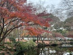 -秋霞圃