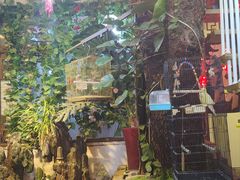 -丽江庭院·云南野生菌·海鲜火锅(鼓楼四合院店)