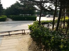 场地-龙凤头海滨浴场度假村-停车场