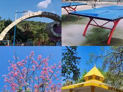 -云溪植物园
