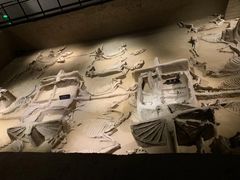 -洛阳周王城天子驾六博物馆