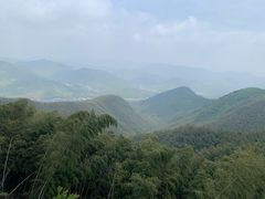 -莫干山风景区
