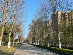 -大渡口区义渡公园